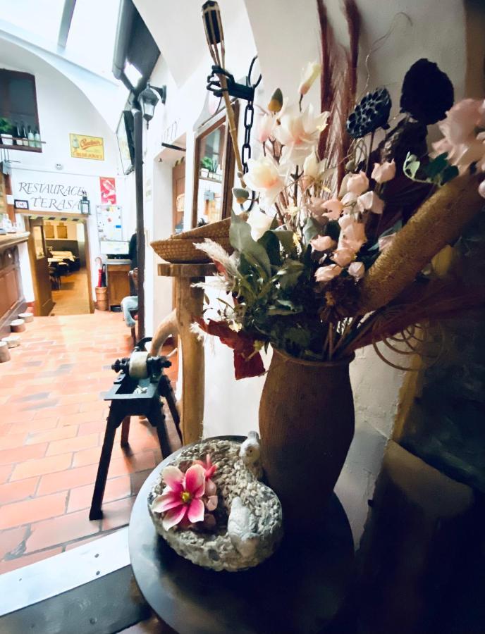 Kristinka Hotell Český Krumlov Eksteriør bilde
